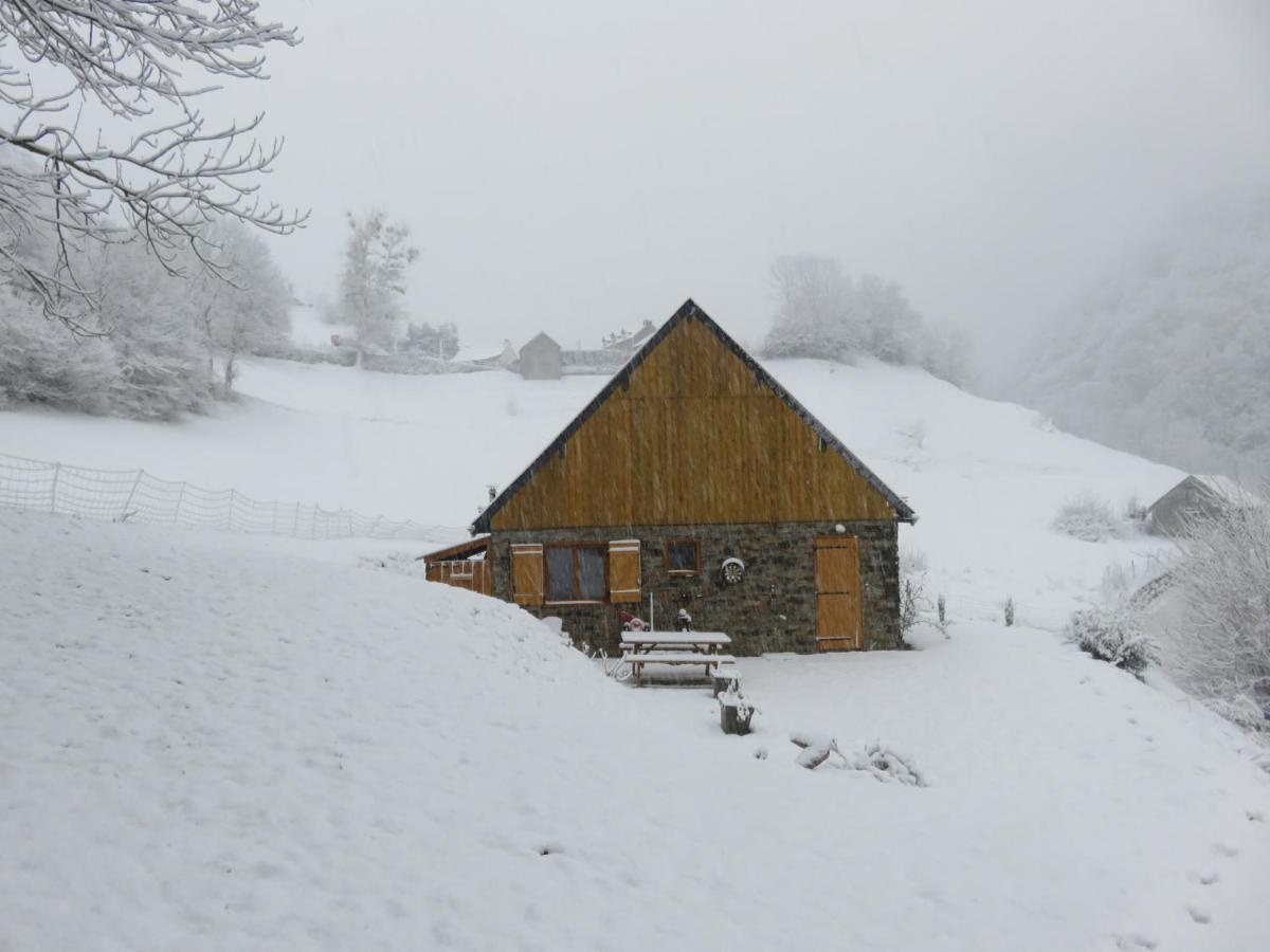 Le Bordarriben sauna&spa 4 étoiles Gèdre Extérieur photo
